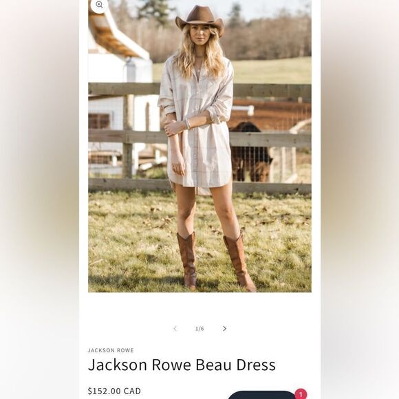 🆕 Jackson Rowe Beau Dress in Sandcastle Plaid - Picture 1 of 11